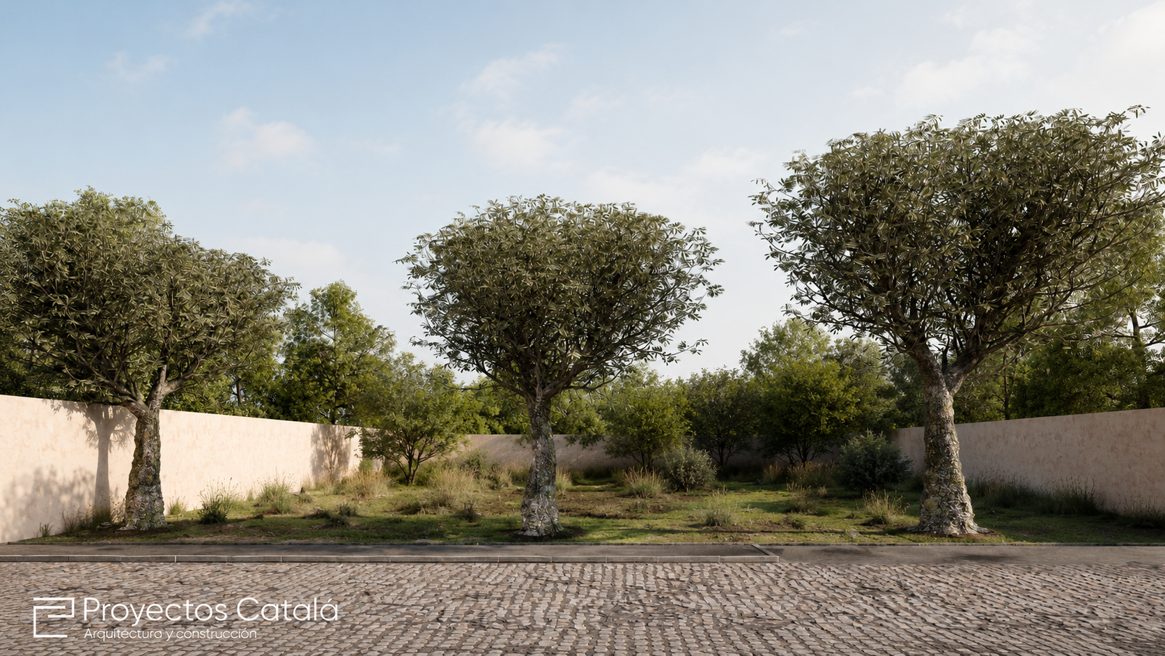 Terreno original del proyecto